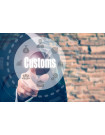 Global Customs Brokerage Industry - Procurement Market Intelligence Report