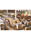 Global E-Commerce Logistics Market - Procurement Intelligence Report