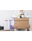 Global Employee Relocation Services Industry - Procurement Market Intelligence Report