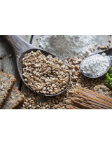 Global Wheat Market - Procurement Intelligence Report