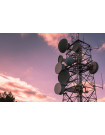 Global Wireless Telecom Services Market - Procurement Intelligence Report