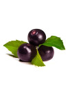 Global Acai Berry Market - Procurement Intelligence Report