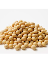 Global Soybean Market - Procurement Intelligence Report