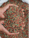Potash Sourcing and Procurement Report by Top Spending Regions and Market Price Trends - Forecast and Analysis 2023-2027