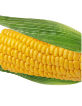 Corn Sourcing and Procurement Report by Top Spending Regions and Market Price Trends - Forecast and Analysis 2022-2026