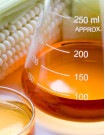 High-Fructose Corn Syrup Sourcing and Procurement Report by Top Spending Regions and Market Price Trends - Forecast and Analysis 2021-2025