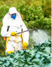 Pesticides Sourcing and Procurement Report by Top Spending Regions and Market Price Trends - Forecast and Analysis 2022-2026