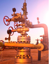 Wellhead Equipment Sourcing and Procurement Report by Top Spending Regions and Market Price Trends - Forecast and Analysis 2023-2027