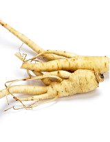 Ginseng Sourcing and Procurement Report by Top Spending Regions and Market Price Trends - Forecast and Analysis 2022-2026