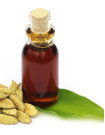 Cardamom Oil Sourcing and Procurement Report by Top Spending Regions and Market Price Trends - Forecast and Analysis 2021-2025