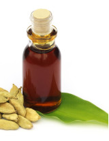 Cardamom Oil Sourcing and Procurement Report by Top Spending Regions and Market Price Trends - Forecast and Analysis 2023-2027
