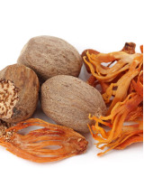 Nutmeg and Mace Sourcing and Procurement Report by Top Spending Regions and Market Price Trends - Forecast and Analysis 2022-2026