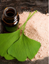 Ginkgo Biloba Extract Sourcing and Procurement Report by Top Spending Regions and Market Price Trends - Forecast and Analysis 2023-2027