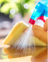 Surface Disinfectants Sourcing and Procurement Report by Top Spending Regions and Market Price Trends - Forecast and Analysis 2024-2028