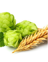 Hops Sourcing and Procurement Report by Top Spending Regions and Market Price Trends - Forecast and Analysis 2023-2027