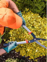 Landscaping Sourcing and Procurement Report by Top Spending Regions and Market Price Trends - Forecast and Analysis 2022-2026