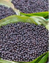 Acai Berry Sourcing and Procurement Report by Top Spending Regions and Market Price Trends - Forecast and Analysis 2022-2026